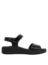 calzado de cuero negro, diseño sofisticado, perfecto para contextos informales con comodidad y estilo.